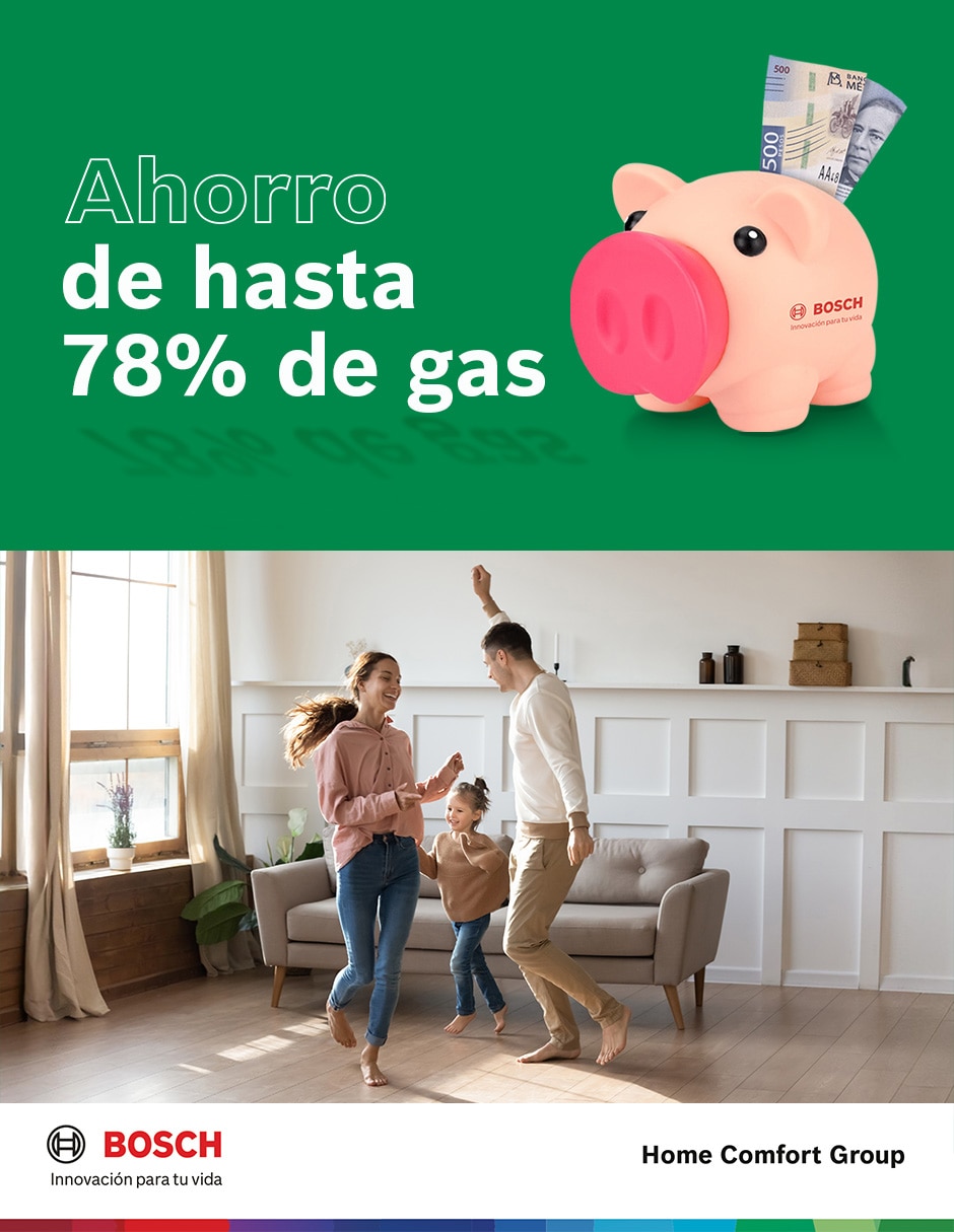 Calentador alta recuperación balanz sin tamaño gas natural 8