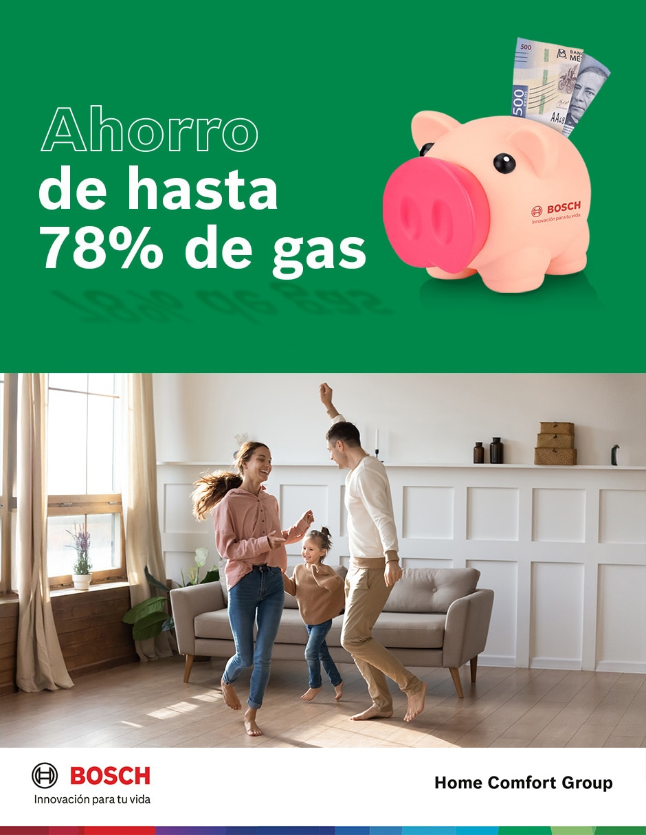 Calentador de paso Bosch BALANZ VENTO 20 L gas natural