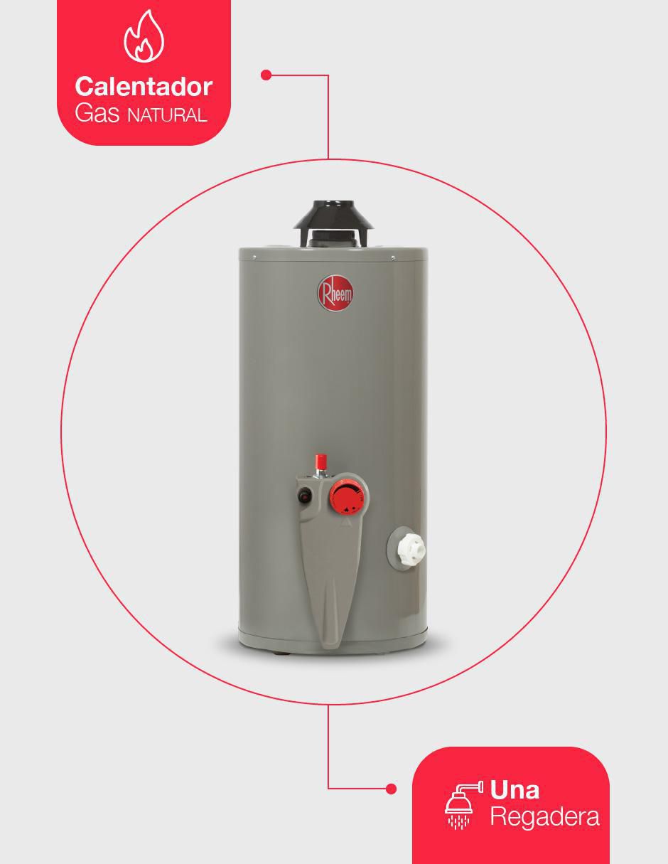 Calentador de depósito Rheem 29V10S/572192 38 L gas natural
