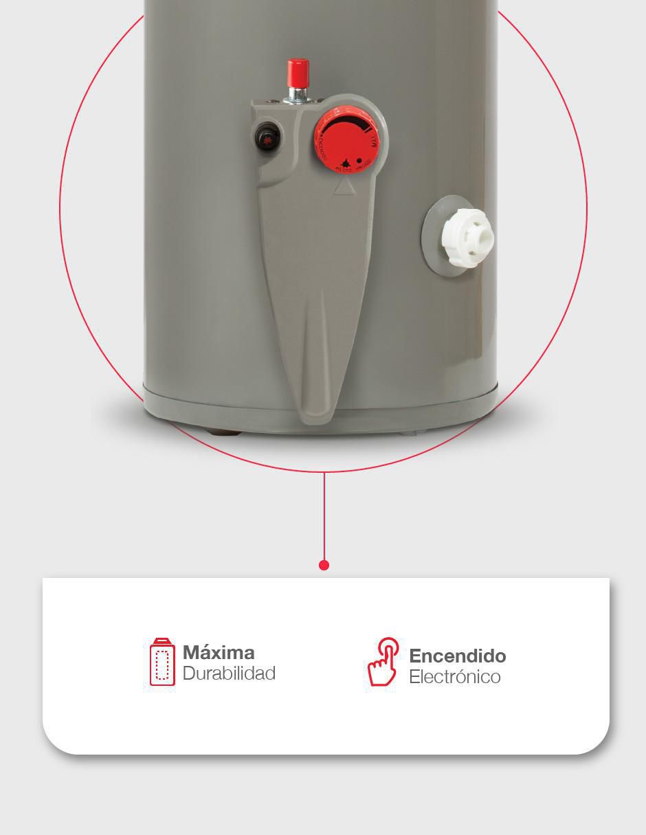 Calentador de depósito Rheem 29V10S/572192 38 L gas natural