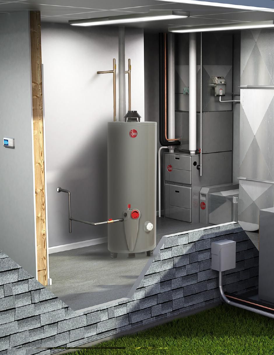 Calentador de depósito Rheem 29V10S/572192 38 L gas natural