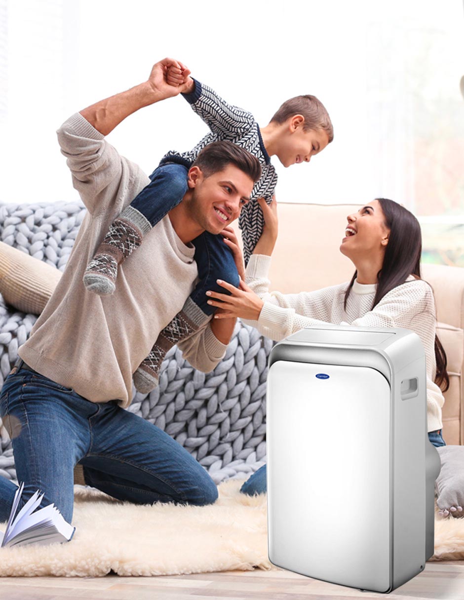 Aire acondicionado mini split inverter Carrier Frío 12000 BTU 52PTC121E 100 V 2