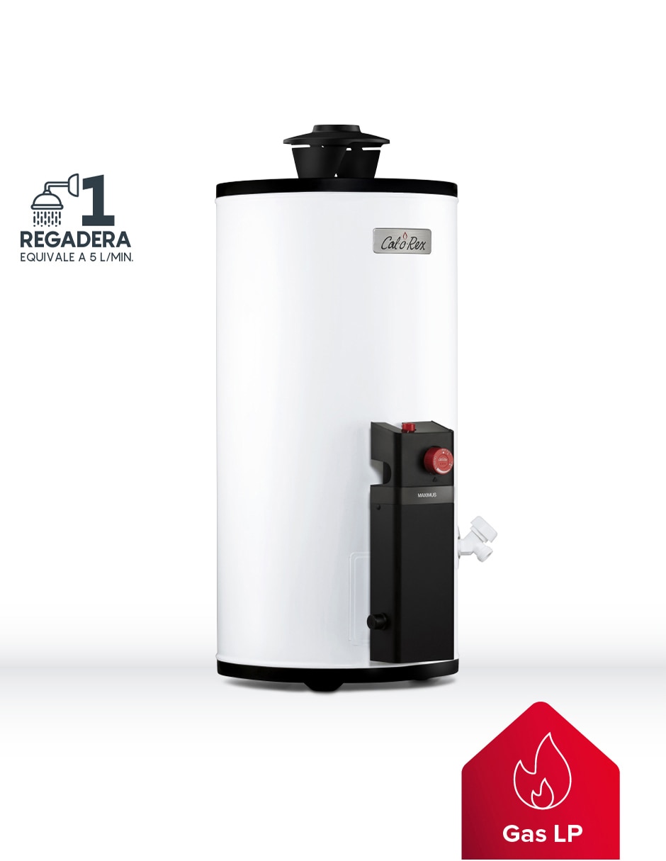 Calentador de depósito Maximus G-10 LP Gas LP 2