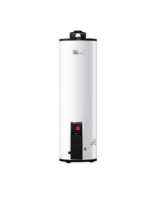 Calentador de depósito Maximus G20 Gas LP 1