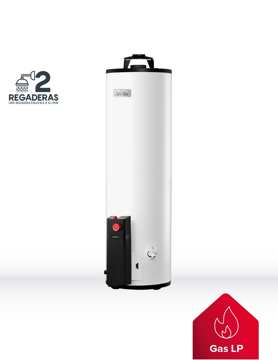 Calentador de depósito Maximus G20 Gas LP 3