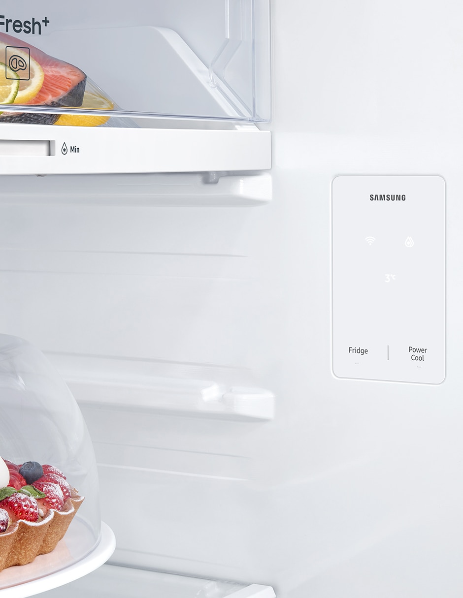 Refrigerador Top Mount 11 Pies Cúbicos Tecnología Inverter y Tecnología No Frost RT31DG5724B1EM Refrigerador Top Mount 11 Pies Cúbicos Tecnología Inverter y Tecnología No Frost RT31DG5724B1EM