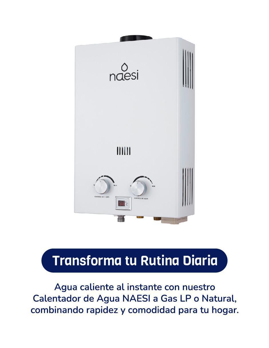 Calentador de paso naesi an202 12 l gas lp