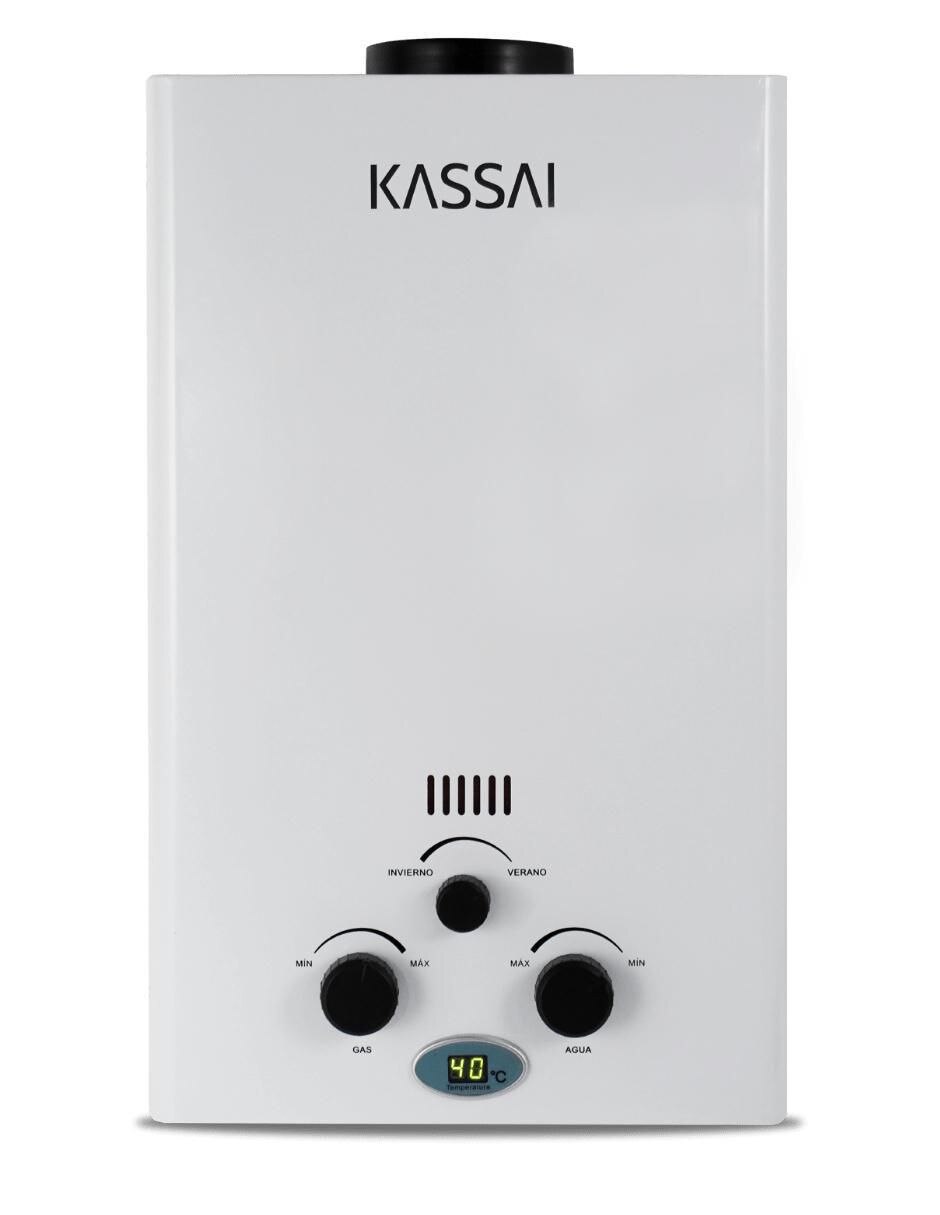 Calentador instantáneo KAS-10P 10 L gas lp 1