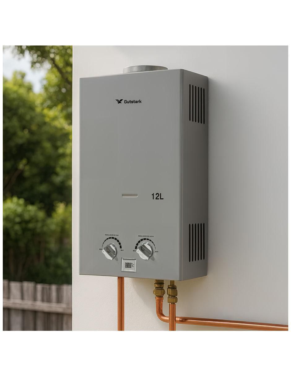 Calentador instantáneo MKZ-CALEN12LPGRI 12 L gas LP 6