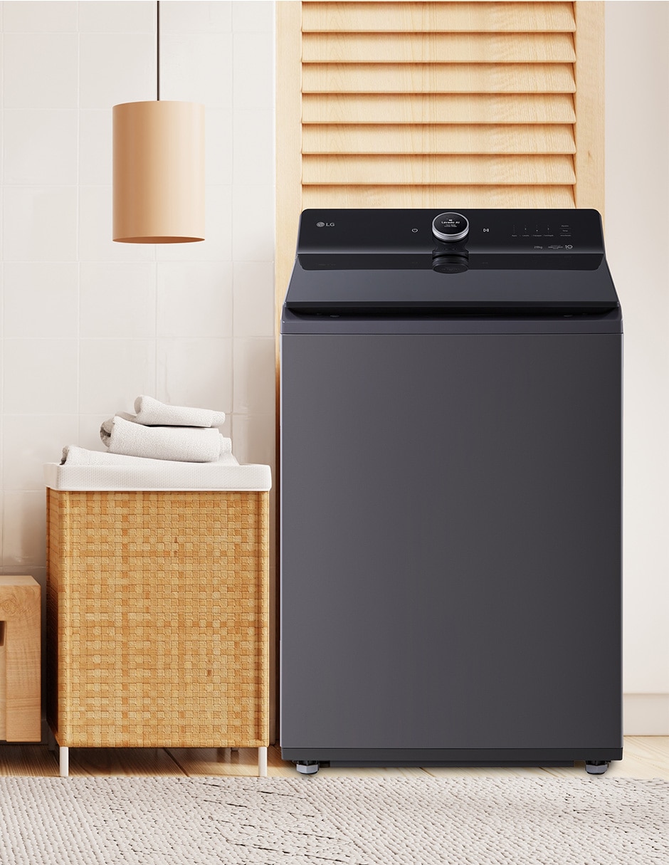 Lavadora Lg 28 kg automática carga superior wt28egtx6