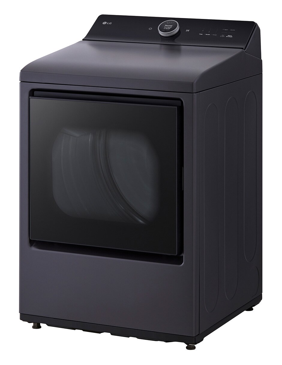 Secadora de gas natural LG de 22 kg con 24 ciclos DT22EGTX