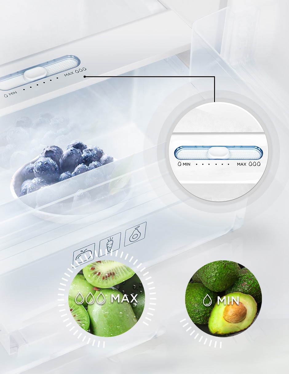 Refrigerador top mount 16 pies cúbicos inverter y no frost y fábrica de hielo TDD16GWD 6