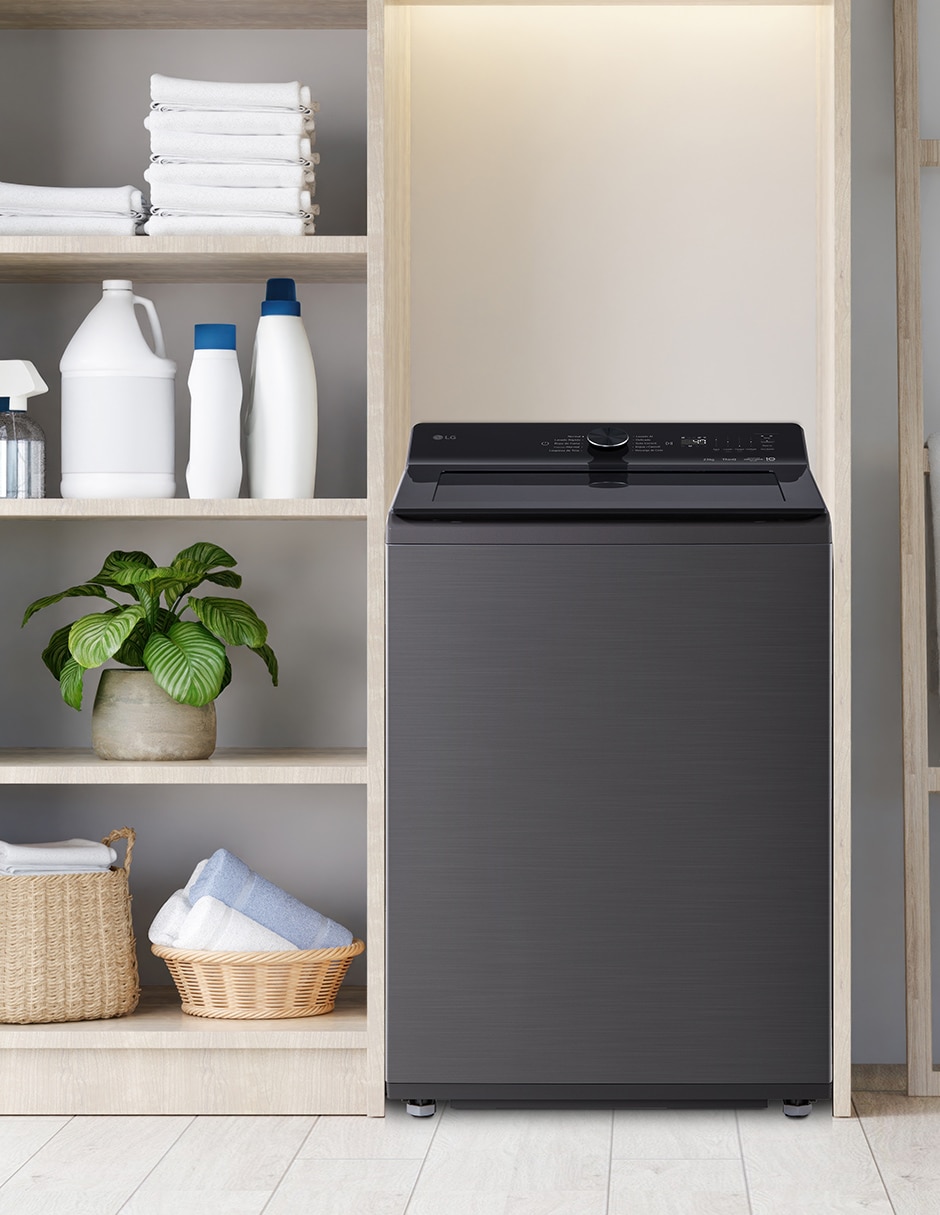 Lavadora Lg Electronics 23 kg automática carga superior WT23PBTX6A