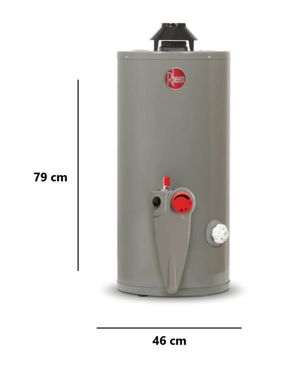 Calentador de depósito 29V10SP 38 L Gas LP 6