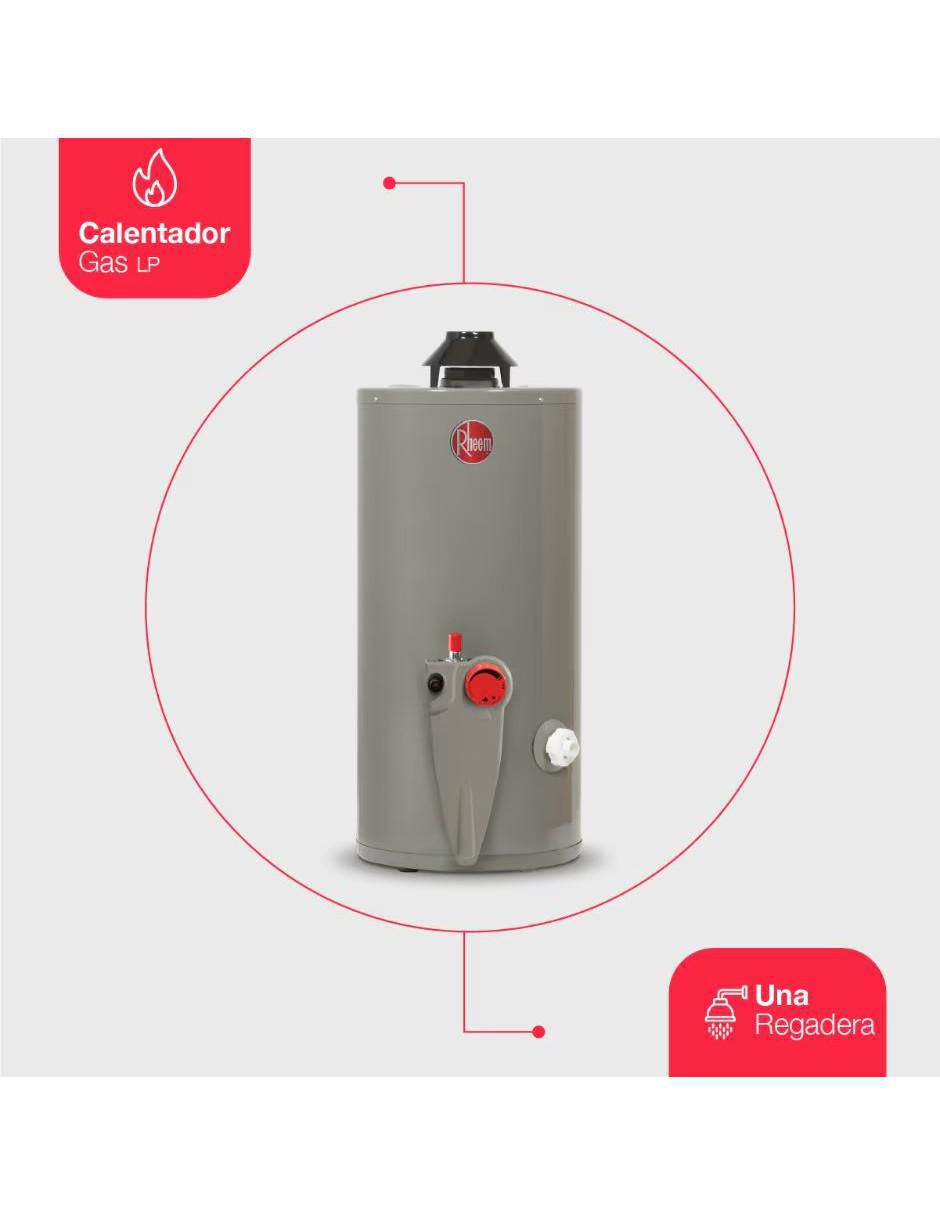 Calentador de depósito 29V10SP 38 L Gas LP 4