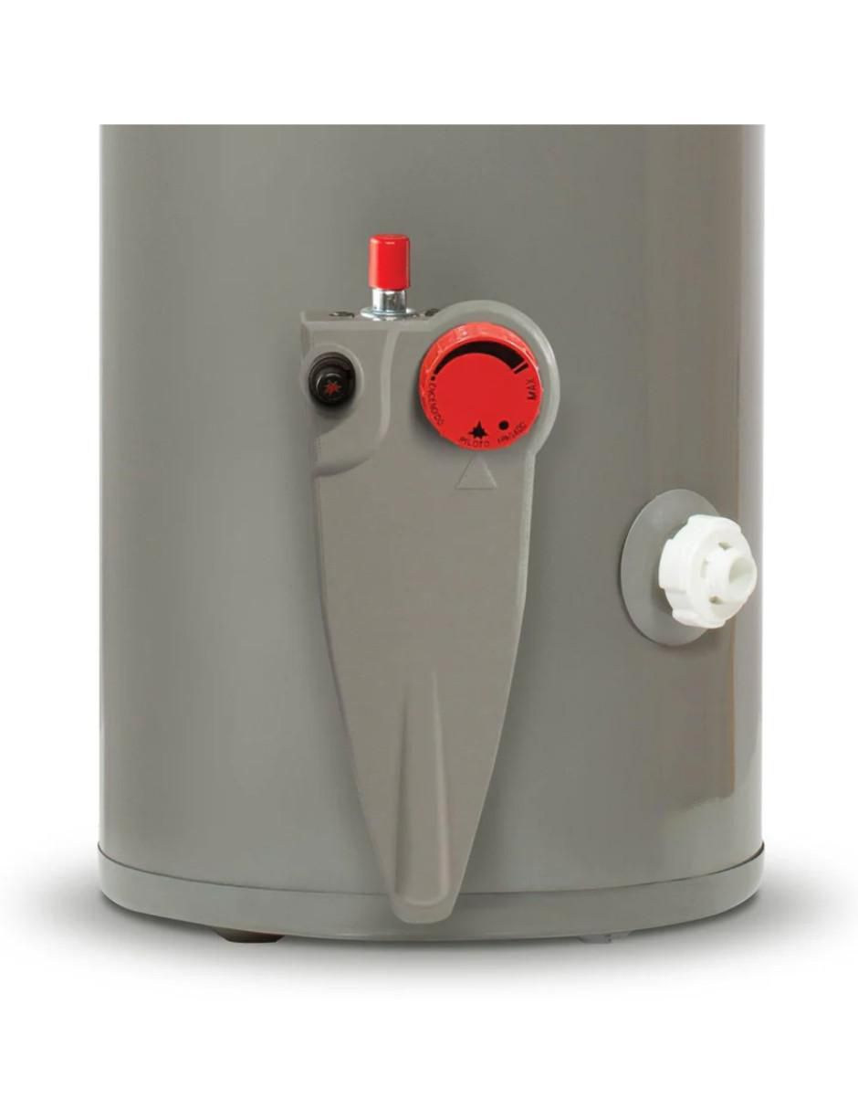 Calentador de depósito 29V10SP 38 L Gas LP 2