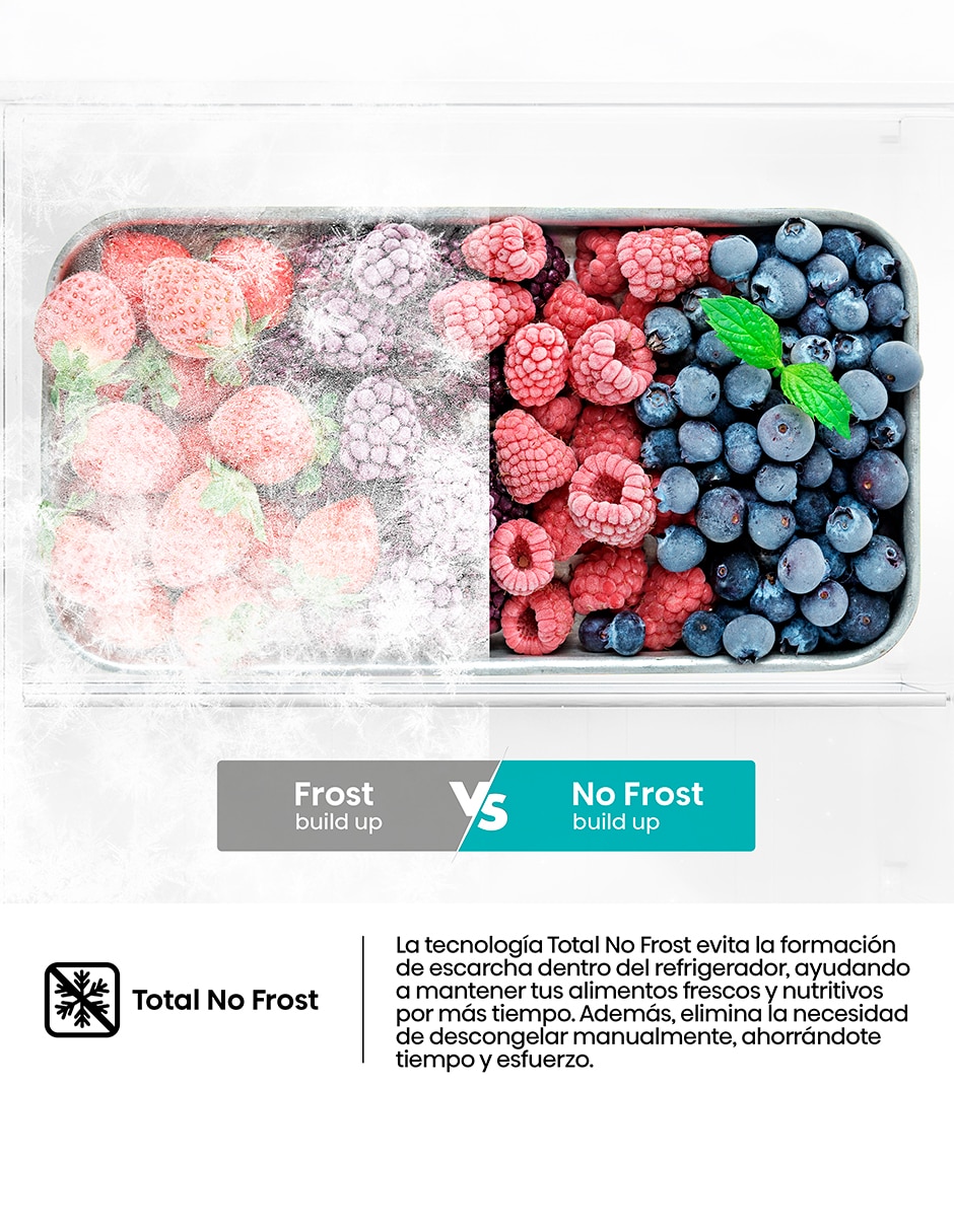 Refrigerador Top mount Tecnología No Frost y No RT88N3AGN