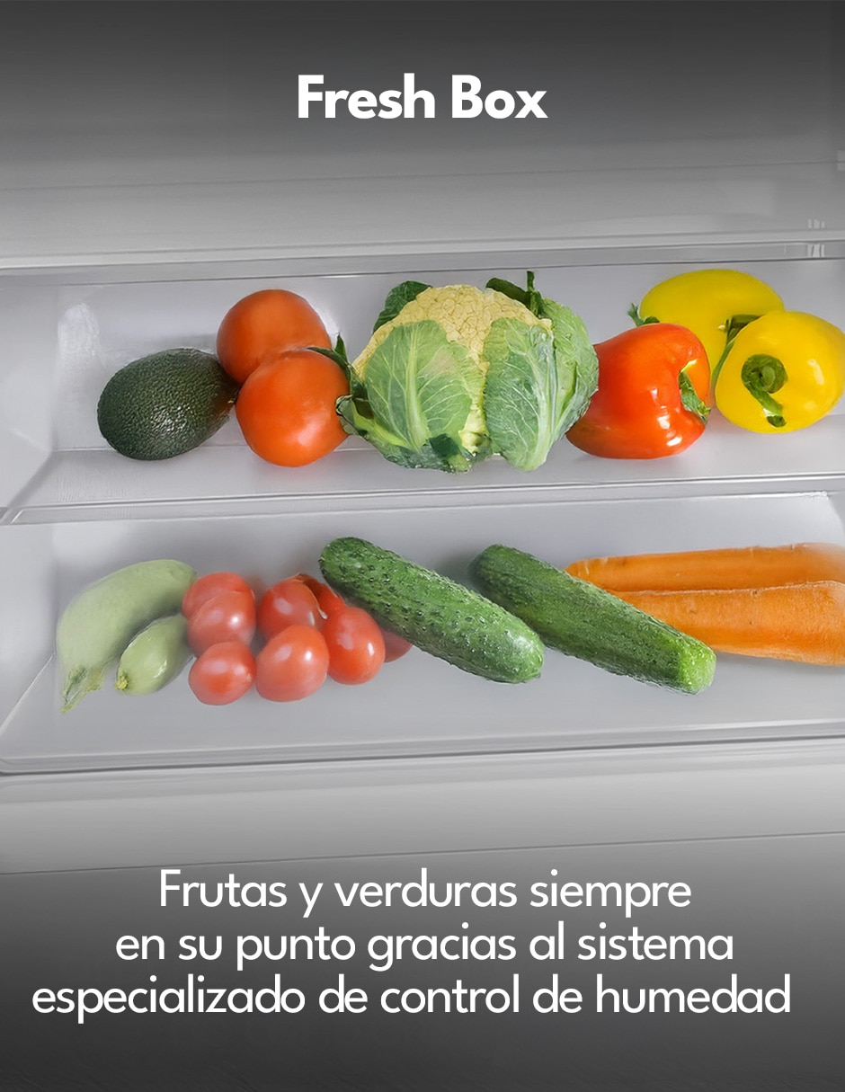Refrigerador 7 pies TDD7S 2